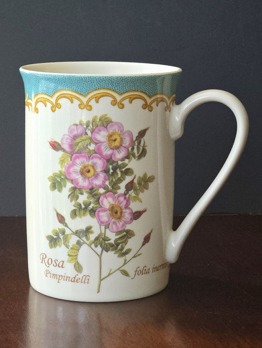 VTG KENT POTTERY Floral COFFEE/TEA MUG 10oz- Roses - ROSA PIMPINDELLI  MINT